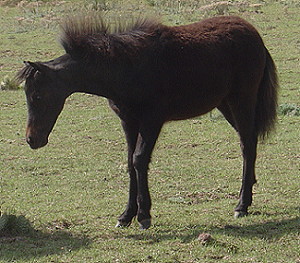 Leah9-06.JPG